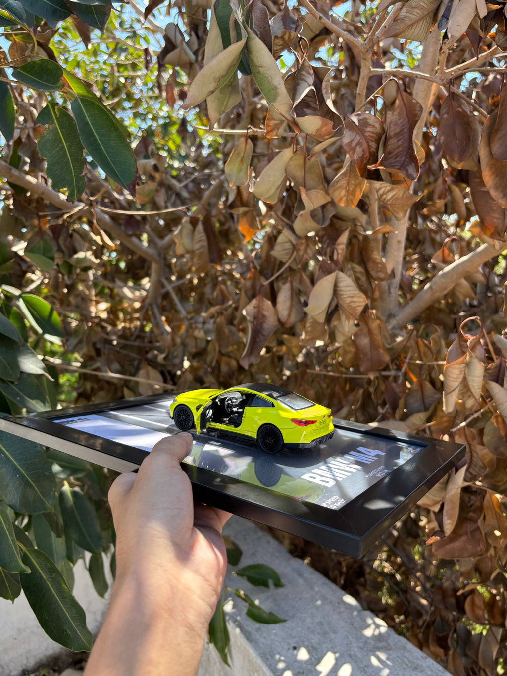 BMW M4 3D Car Frame