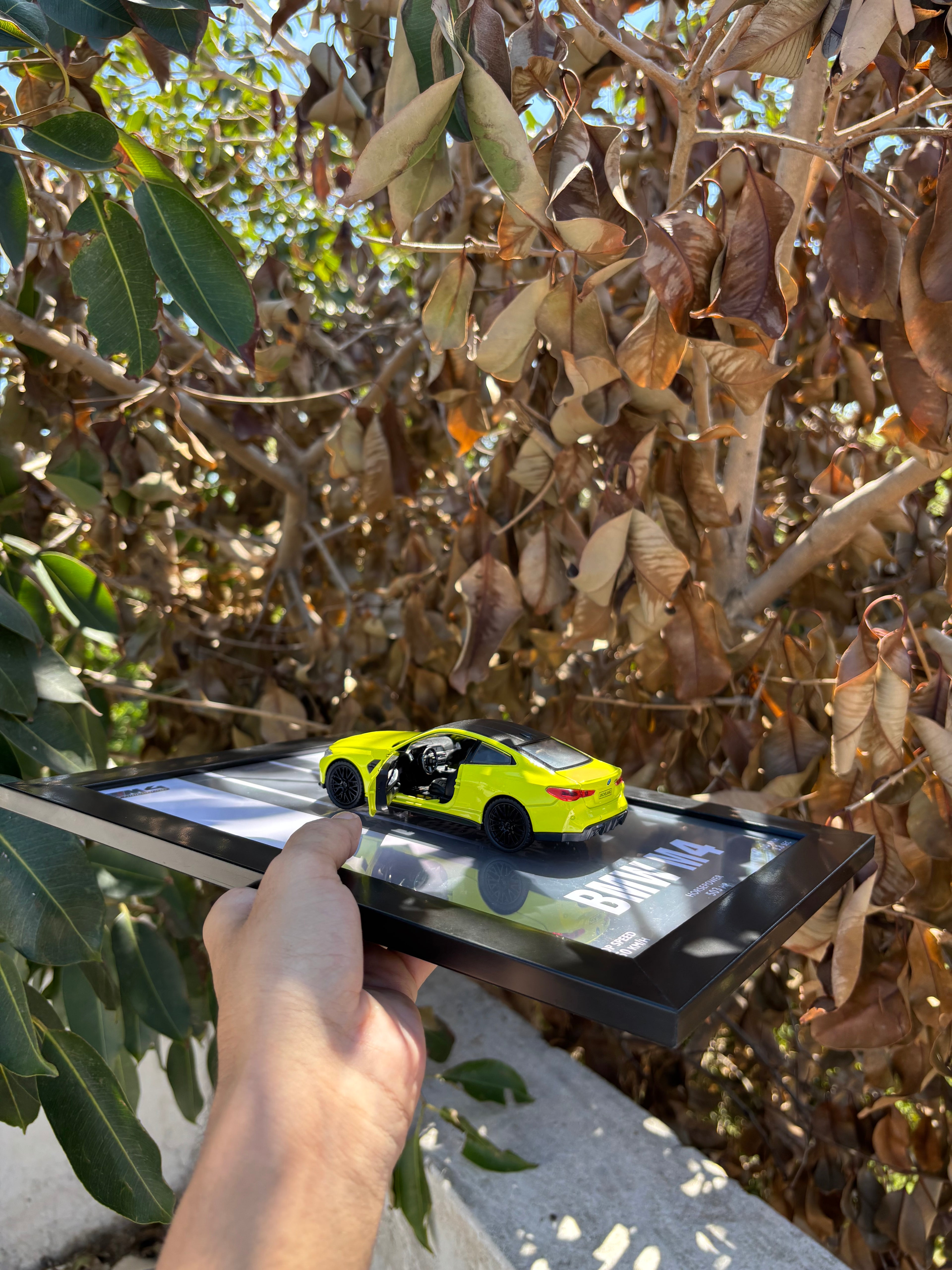 BMW M4 3D Car Frame