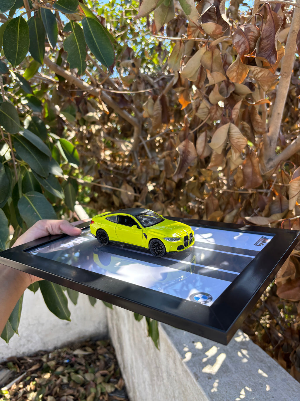 BMW M4 3D Car Frame