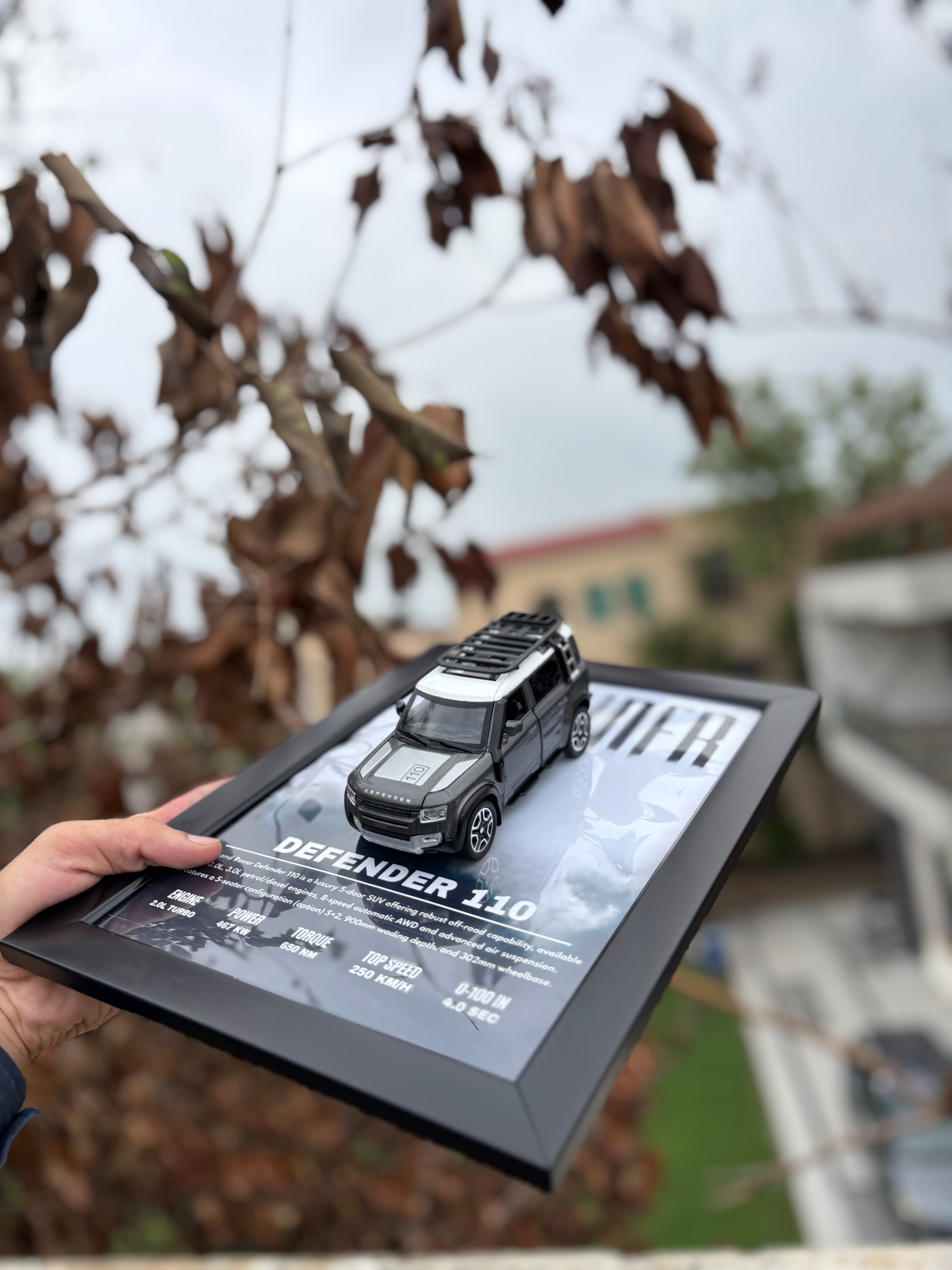Defender 3D Car Frame