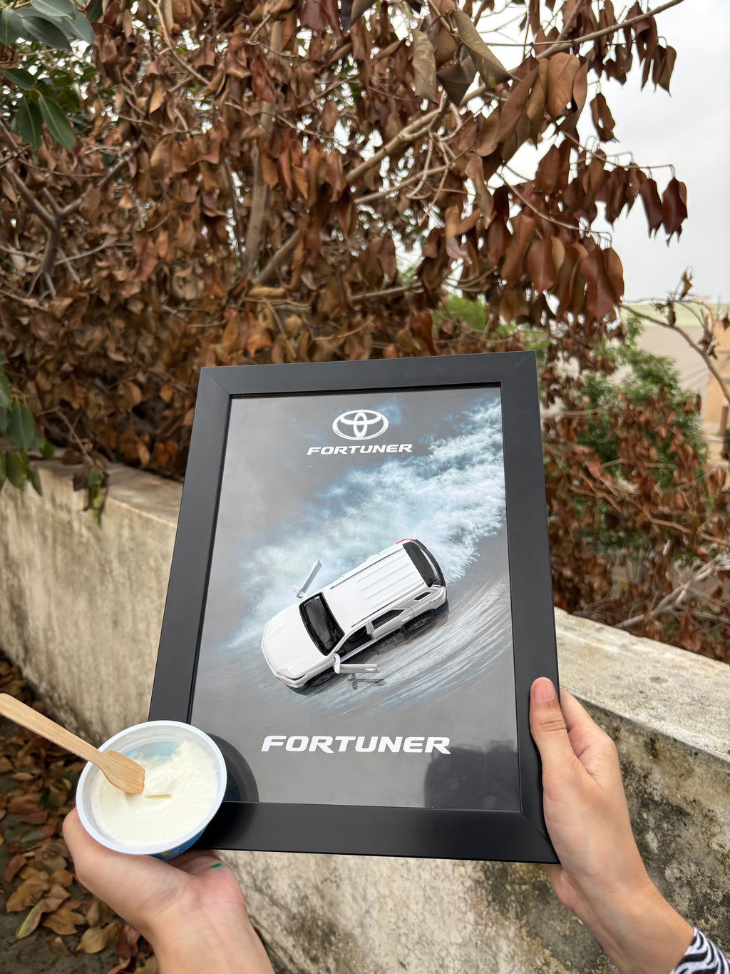 Fortuner 3D Car Frame