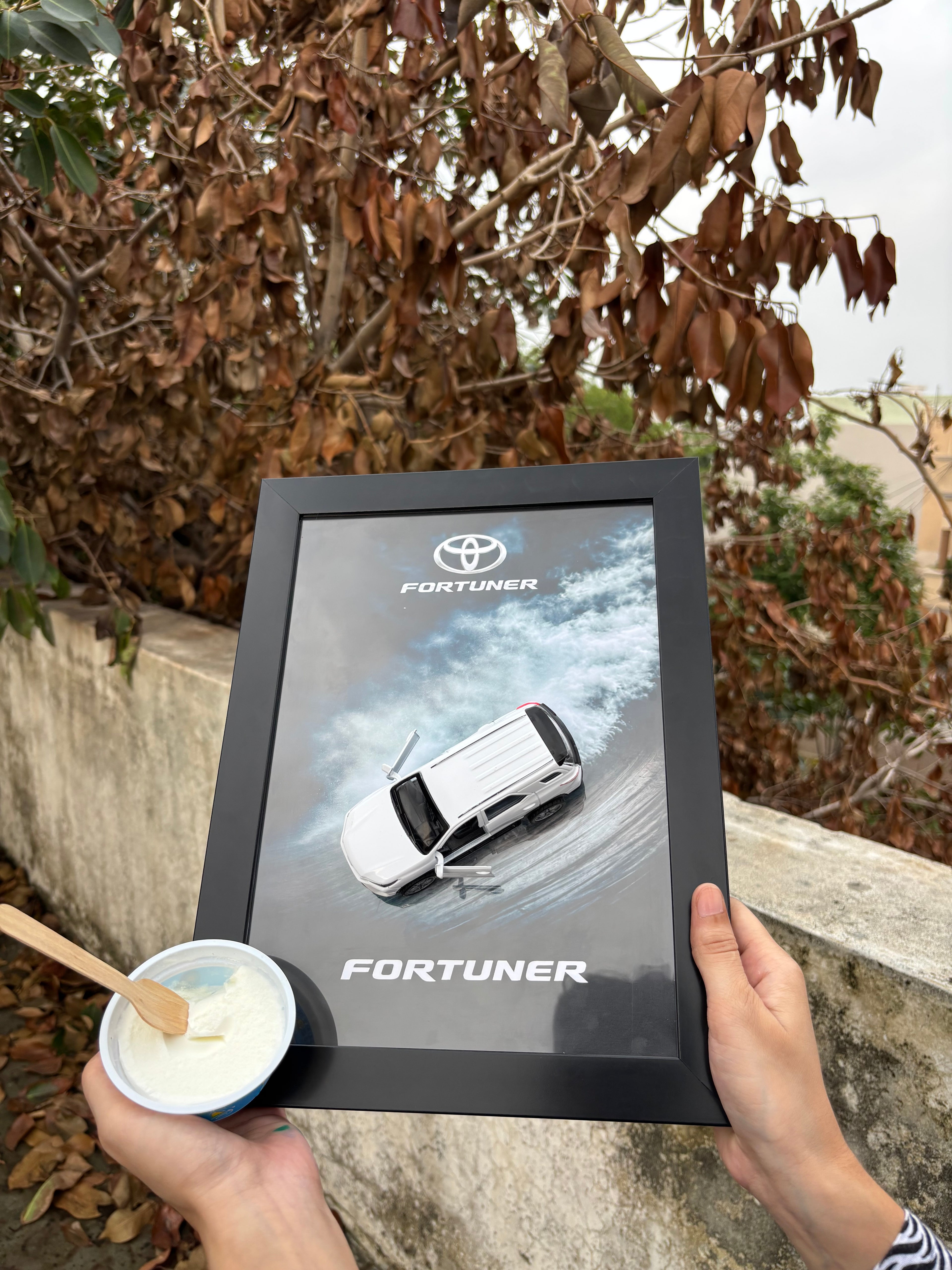 Fortuner 3D Car Frame