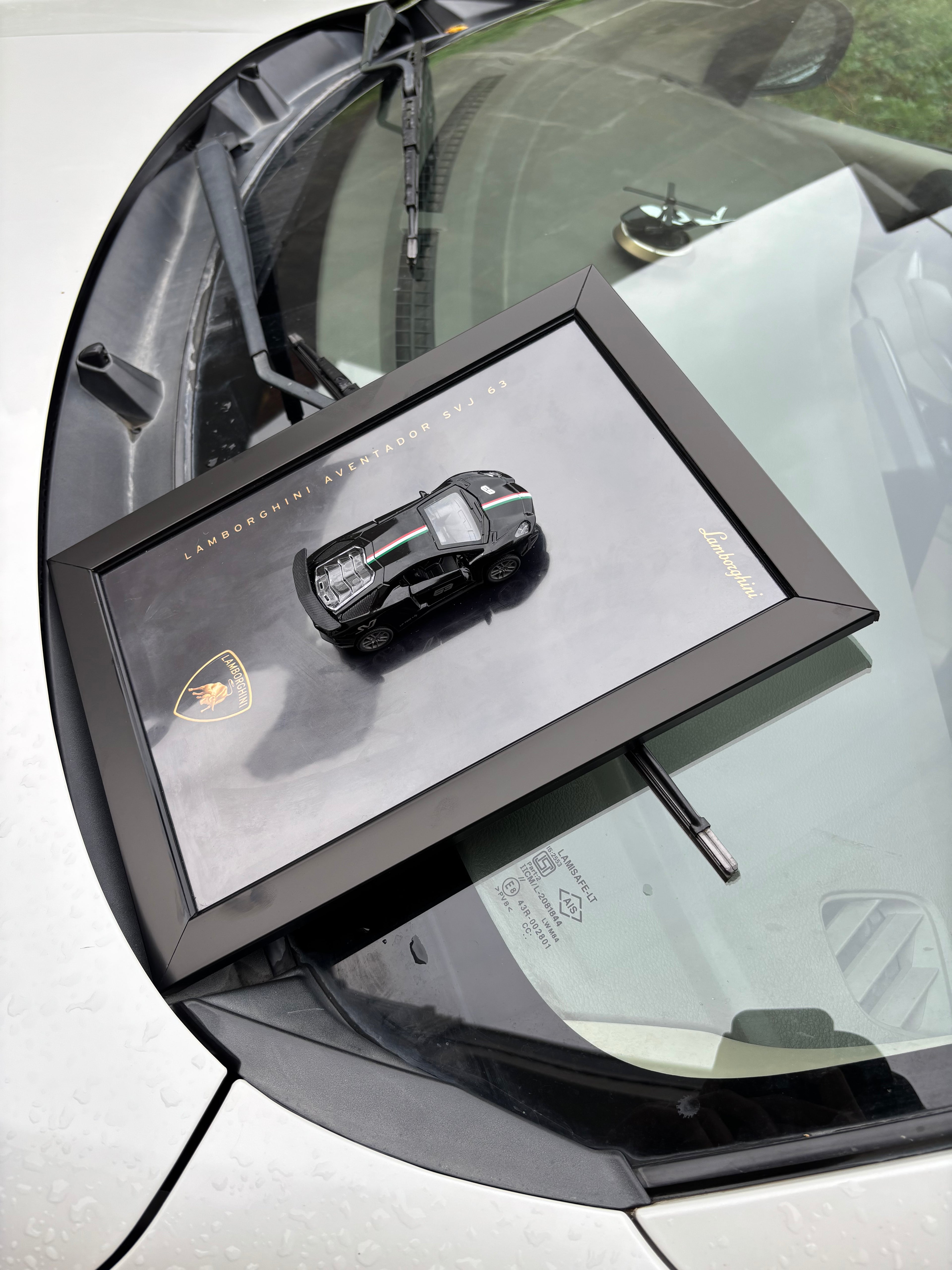 Lamborghini Aventador 3D Car Frame